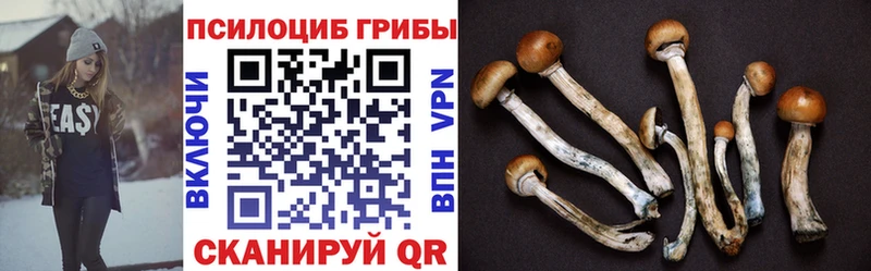 Псилоцибиновые грибы ЛСД  где продают наркотики  Тольятти 